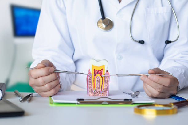 Best Weekend Emergency Dentist in Cambridge City, IN
